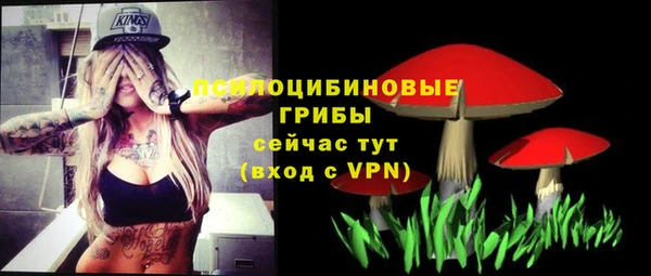твердый Новозыбков