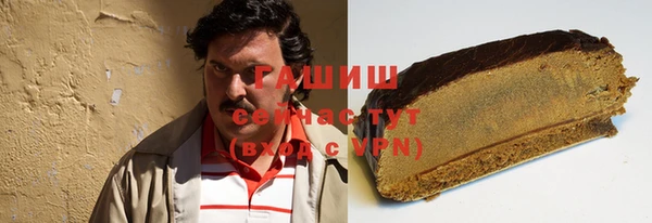 твердый Новозыбков