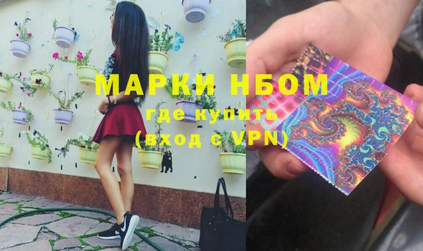 эйфоретик Няндома