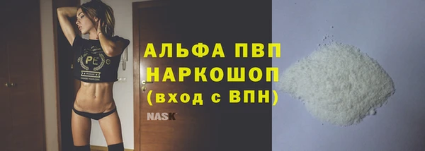 эйфоретик Няндома