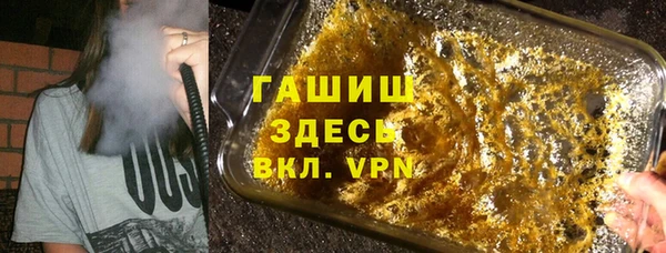 эйфоретик Няндома