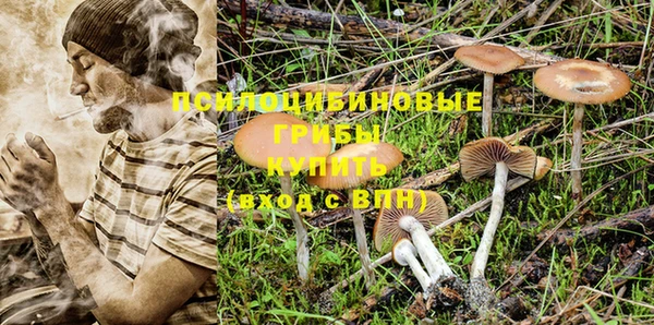 твердый Новозыбков