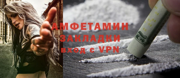 твердый Новозыбков