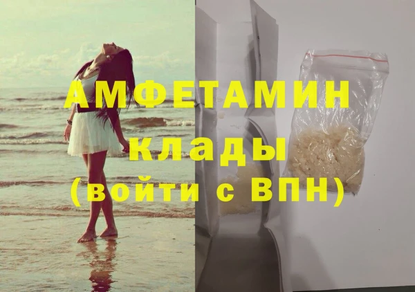 твердый Новозыбков